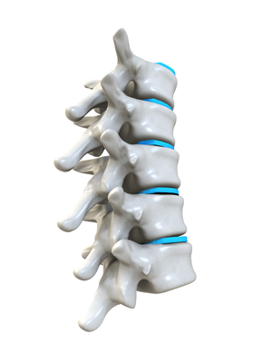 spine-shutterstock